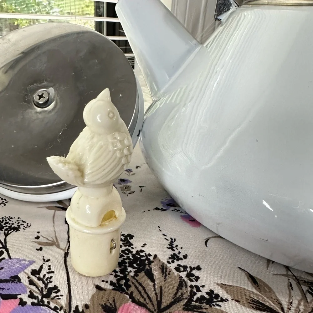 Vintage Enamel Kettle